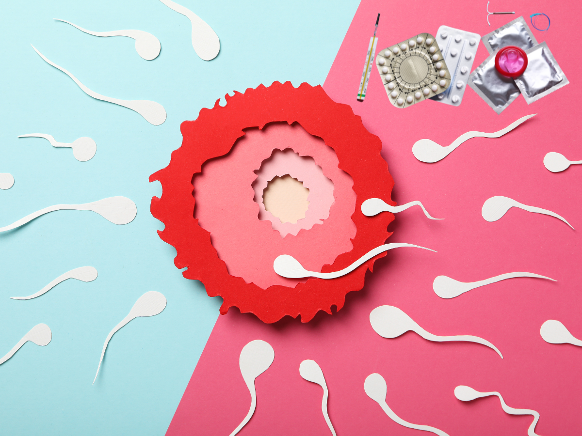 Cómo afectan los anticonceptivos a la fertilidad
